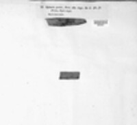 Nectria peziza image